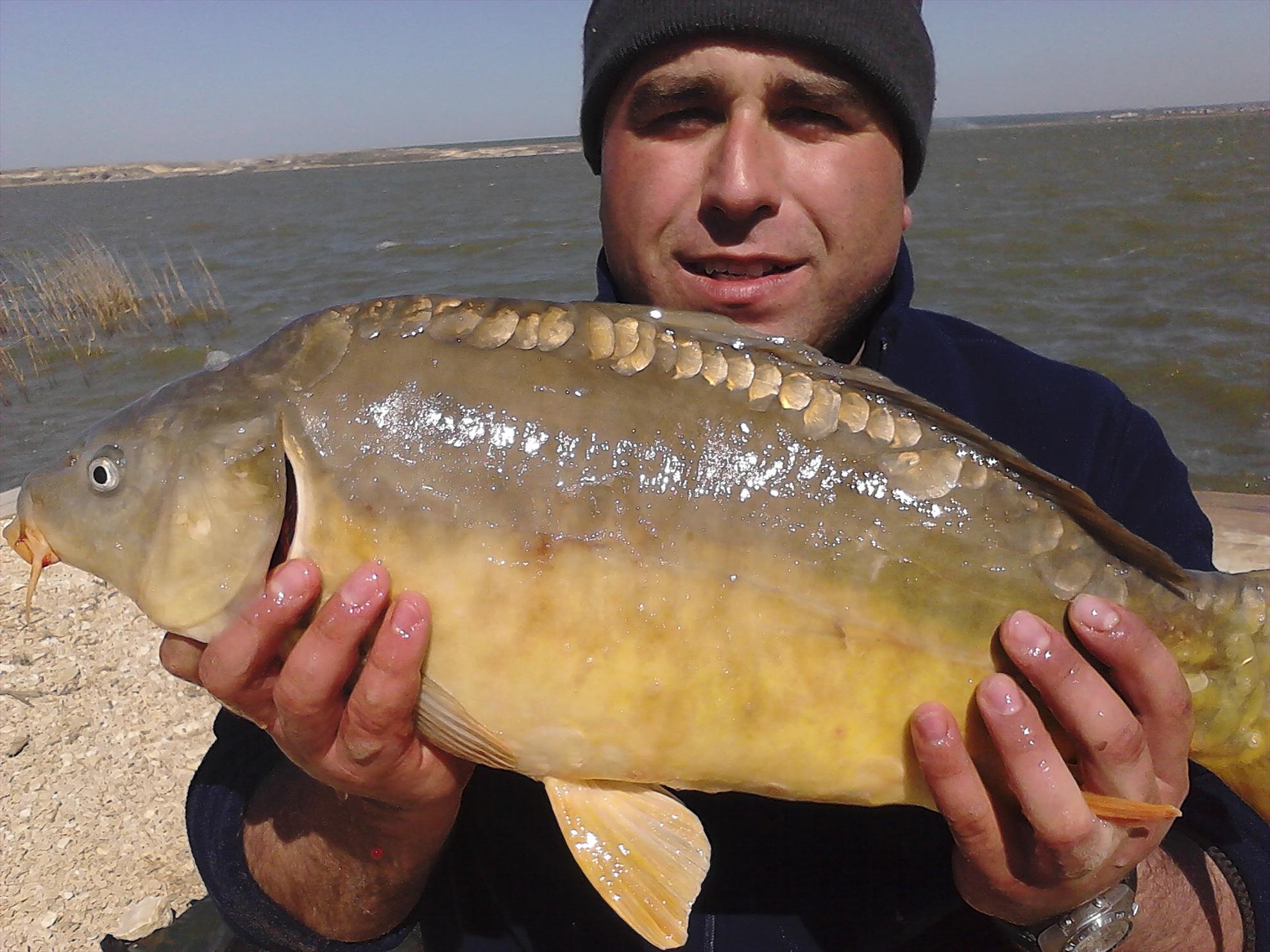 corbu - img201304171059430.jpg